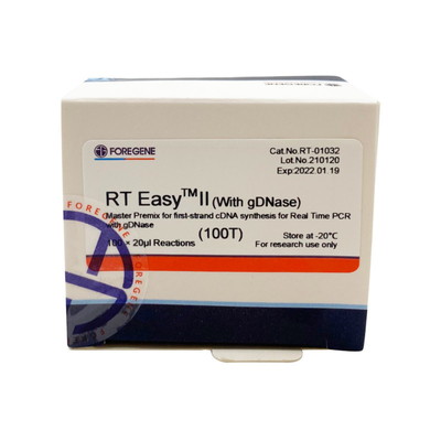 RT EasyTM II مع مواد أولية للنسخ العكسي لاستخدام Master Premix لتوليف أول ستراند CDNA / PCR في الوقت الحقيقي