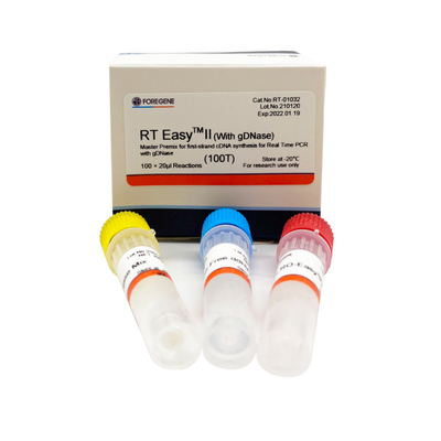 RT EasyTM II مع مواد أولية للنسخ العكسي لاستخدام Master Premix لتوليف أول ستراند CDNA / PCR في الوقت الحقيقي