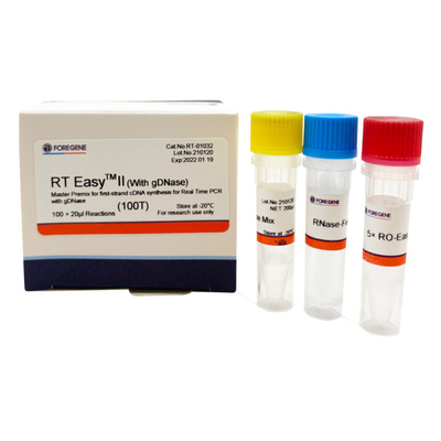 RT EasyTM II مع مواد أولية للنسخ العكسي لاستخدام Master Premix لتوليف أول ستراند CDNA / PCR في الوقت الحقيقي