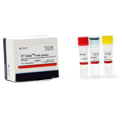 RT Easy II Master Premix لأول ستراند CDNA مع GDNase