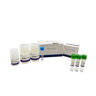 أوراق النبات المباشر PCR Plus Kit UNG PCR Kit DNA بوليميراز تحلل عازلة أوراق النبات للنباتات المعدلة وراثيًا