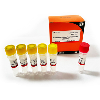 Foreasy M-MLV النسخ العكسي لـ CDNA Synthesis Primer Extension أطقم PCR مع DNA Polymerase