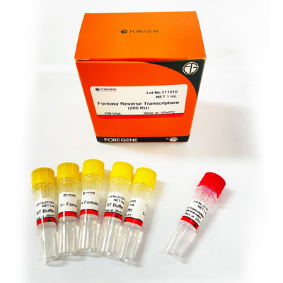 Foreasy M-MLV النسخ العكسي لـ CDNA Synthesis Primer Extension أطقم PCR مع DNA Polymerase