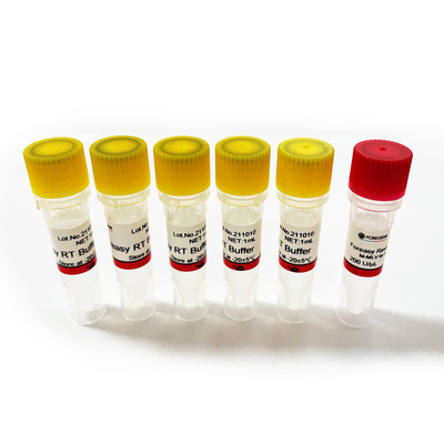 Foreasy M-MLV النسخ العكسي لـ CDNA Synthesis Primer Extension أطقم PCR مع DNA Polymerase