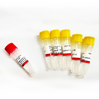 Foreasy M-MLV النسخ العكسي لـ CDNA Synthesis Primer Extension أطقم PCR مع DNA Polymerase