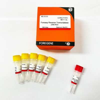 Foreasy M-MLV النسخ العكسي لـ CDNA Synthesis Primer Extension أطقم PCR مع DNA Polymerase