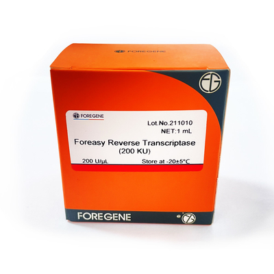 Foreasy M-MLV النسخ العكسي لـ CDNA Synthesis Primer Extension أطقم PCR مع DNA Polymerase