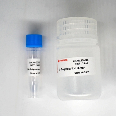 Foreasy Taq DNA Polymerase HotStar Taq Polymerase Kit لـ PCR / QPCR