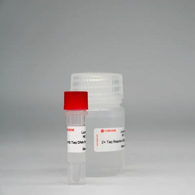 Foreasy HS Taq DNA Polymerase Super HotStar Taq Enzyme Mix لـ PCR / QPCR