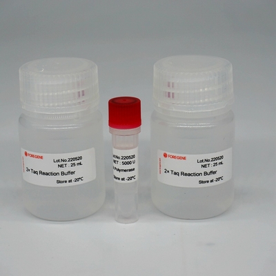 Foreasy HS Taq DNA Polymerase Super HotStar Taq Enzyme Mix لـ PCR / QPCR