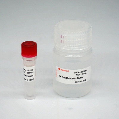 Foreasy HS Taq DNA Polymerase Super HotStar Taq Enzyme Mix لـ PCR / QPCR