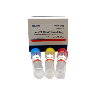 Lnc-RT HeroTM I (مع gDNase) Super Premix لتوليف cDNA من أول حبلا من lncRNA Cat.RTL-09098/09099