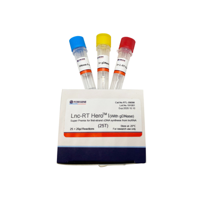 Lnc-RT HeroTM I (مع gDNase) Super Premix لتوليف cDNA من أول حبلا من lncRNA Cat.RTL-09098/09099