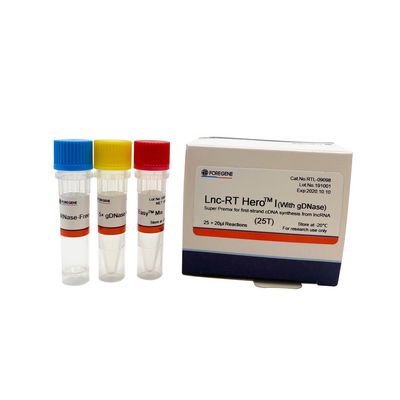 Lnc-RT HeroTM I (مع gDNase) Super Premix لتوليف cDNA من أول حبلا من lncRNA Cat.RTL-09098/09099