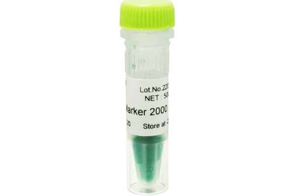 2000bp DNA ماركر Agarose Gel PCR Kit سلم الحمض النووي للأبحاث