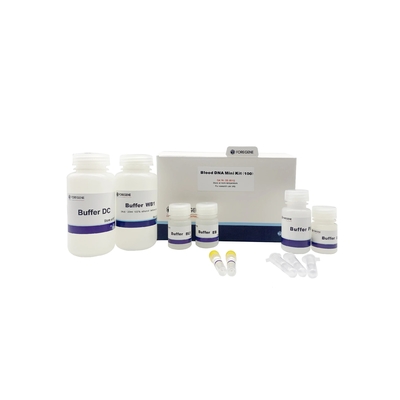 العازلة BL1 مجموعات عزل الحمض النووي العازلة BL2 الدم DNA استخراج كيت