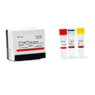مجموعة توليف أول ستراند CDNA عالية الحساسية لنظام 20ul RT-01011