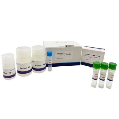 6x DNA تحميل Buffer Plant Leaf Plus Direct PCR Kits with UNG