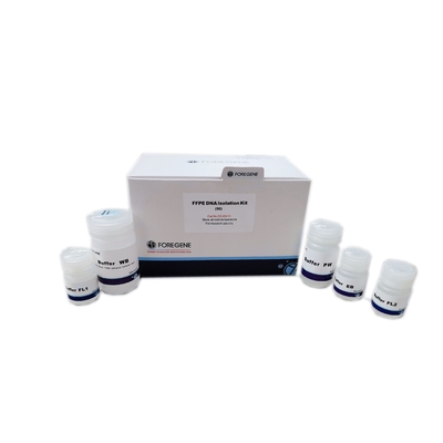 أطقم عزل DNA Regeant FFPE المختبرية السريعة 50T 100T بدون تلوث RNase