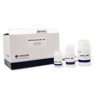 مجموعة استخراج جل DNA Foregene عالية الاسترداد لاستخدام الكاشف في المختبر