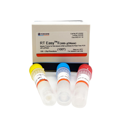 أطقم النسخ العكسي السريعة RT Easy II 25T مع DNase للوقت الحقيقي PCR