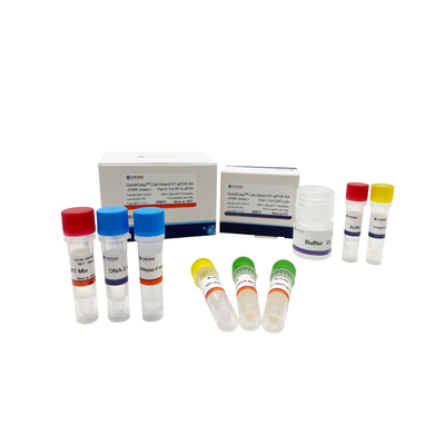 العازلة CL خطوة واحدة RT QPCR كيت 200T 1000T مثقف خلية مباشرة RT-QPCR