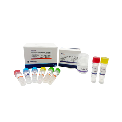 العازلة CL خطوة واحدة RT QPCR كيت 200T 1000T مثقف خلية مباشرة RT-QPCR