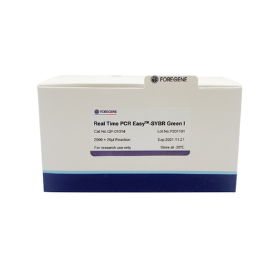 Real Time PCR EasyTM-SYBR Green I kit نظام بريمكس جديد SYBR Green Fluorescent pcr Kit