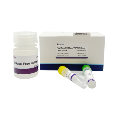Real Time PCR EasyTM-SYBR Green I kit نظام بريمكس جديد SYBR Green Fluorescent pcr Kit