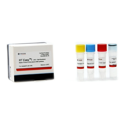First Strand CDNA Synthesis Reverse Transcription System RT Easy I Master Premix