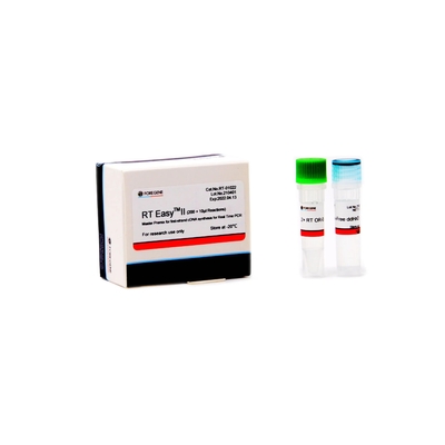 نظام النسخ العكسي RT Easy II Master Premix لتخليق منتج PCR في الوقت الحقيقي