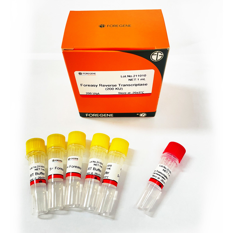 Foreasy M-MLV النسخ العكسي لـ CDNA Synthesis Primer Extension أطقم PCR مع DNA Polymerase
