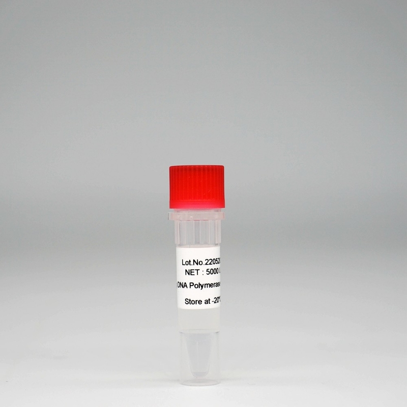 Foreasy HS Taq DNA Polymerase Super HotStar Taq Enzyme Mix لـ PCR / QPCR