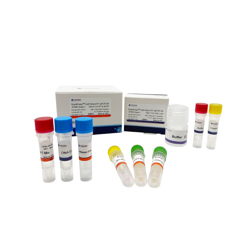 العازلة CL خطوة واحدة RT QPCR كيت 200T 1000T مثقف خلية مباشرة RT-QPCR